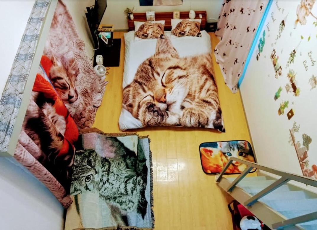 Tokyo Shibuya Shinjyuku Cat House ! Apartment Exterior photo