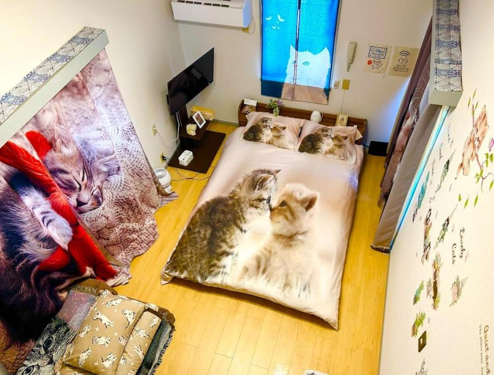 Tokyo Shibuya Shinjyuku Cat House ! Apartment Exterior photo